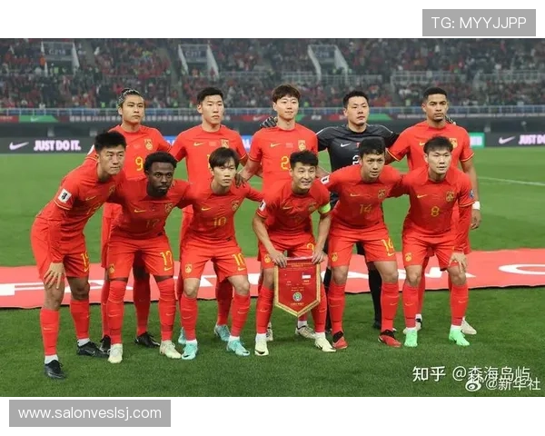 2026年世界杯预选赛中国队战绩回顾与未来冲击分析